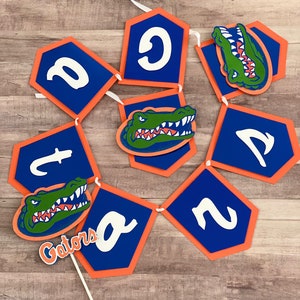 Florida Gators, florida gators banner, gators banner, UF ghirlanda, gators party, gators decor, gators fan, univeristy banner, college banner