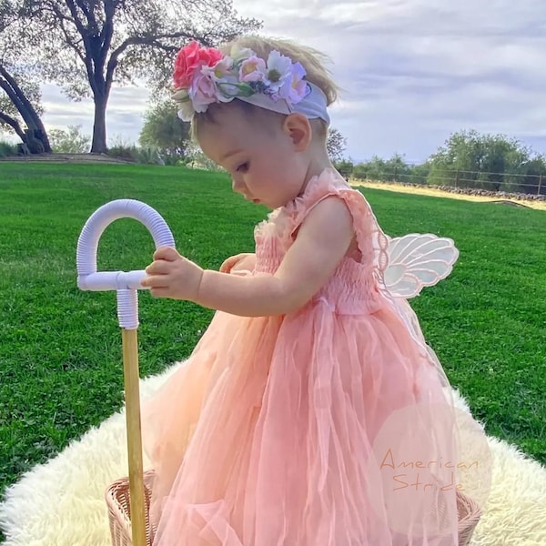 Blush Pink Baby Dress with Butterfly Wings, Lace and Layered Tulle – 1st Birthday or Flower Girl