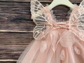 Baby Blush Lace Tulle Dress with Butterfly Wings | Flower Girl & Special Occasion Outfit