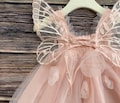 Baby Blush Lace Tulle Dress with Butterfly Wings | Flower Girl & Special Occasion Outfit