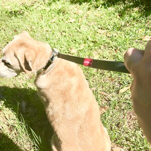 ProUD 60cm Super grip leash