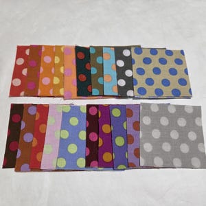 Può includere: Una collezione di quadrati di tessuto colorati, ciascuno con un motivo a pois. I quadrati sono disposti in due file, mostrando una varietà di colori tra cui rosso, arancione, verde, blu e viola. I pois sono in colori contrastanti.