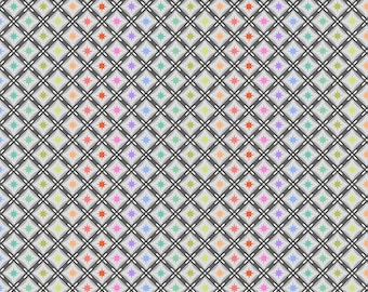 Tela de edredón FQ OOP - Stargazer, Storm - Tula Pink Roar 100 % algodón