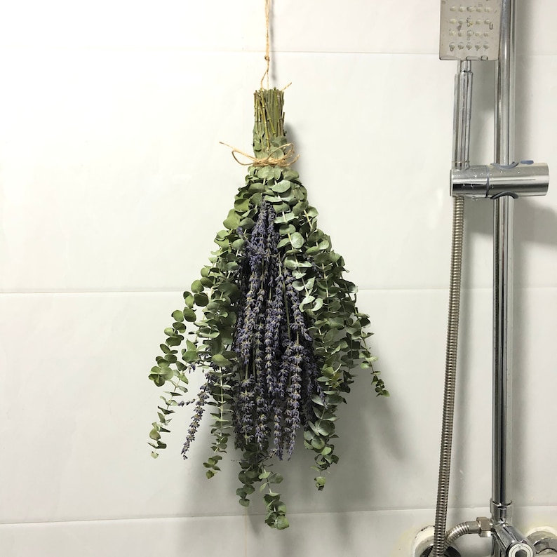 Shower Eucalyptus Bundle with Lavender Aromatherapy Shower Etsy