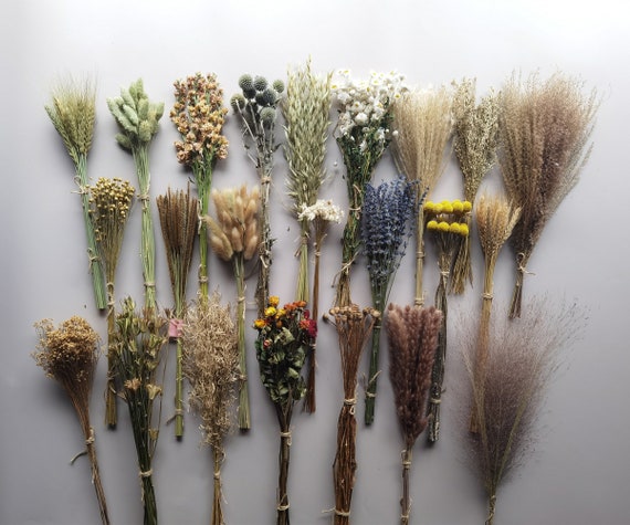 Natural dried flowers set A – M