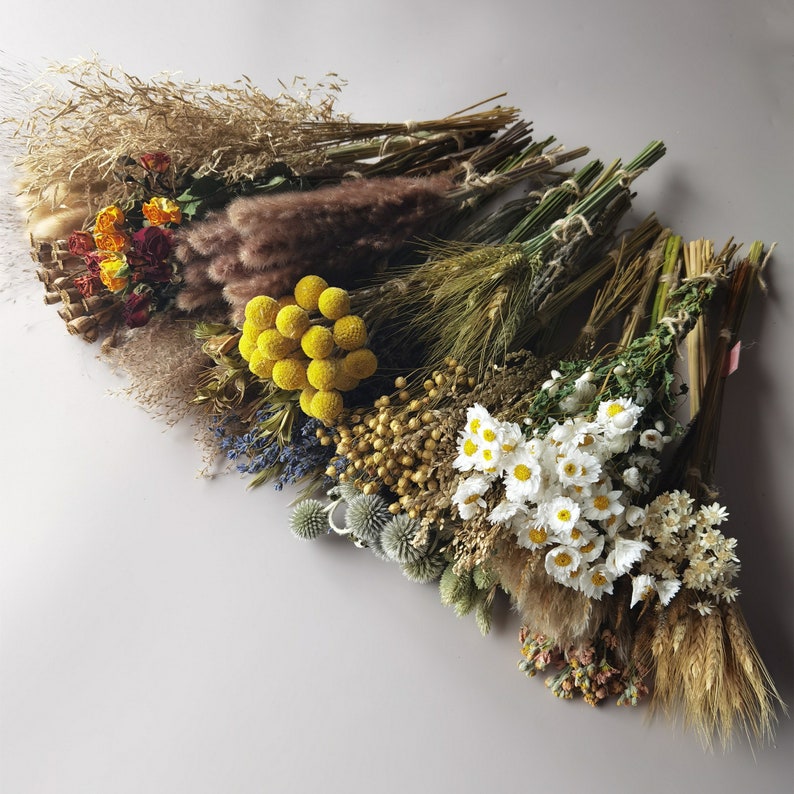 23 Style of 100 Natural Dried Flowers Etsy
