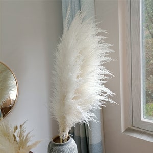 Koyal Wholesale Real Dried Pampas Grass Decor Plumes, 28-32 Inches, White Color, Bulk of 96 Pcs Ornamental Grass