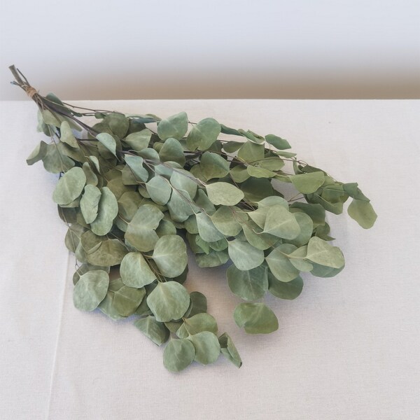Eucalyptus Bouquet Etsy