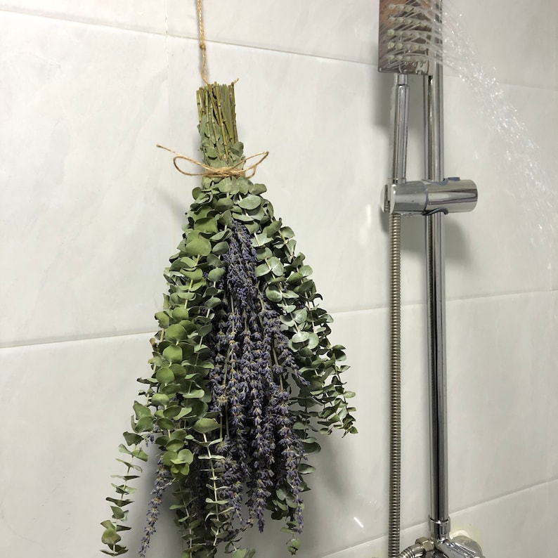 Shower Eucalyptus Bundle with Lavender Aromatherapy Shower Etsy
