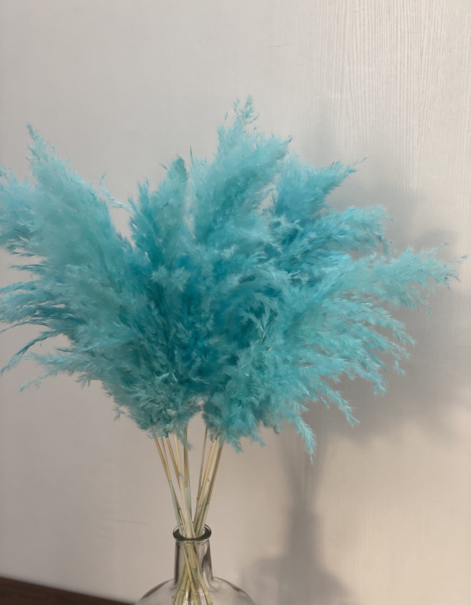 PAMPAS GRASS Natural Dried Pampas Grass Decor Reed Plume Dry Etsy