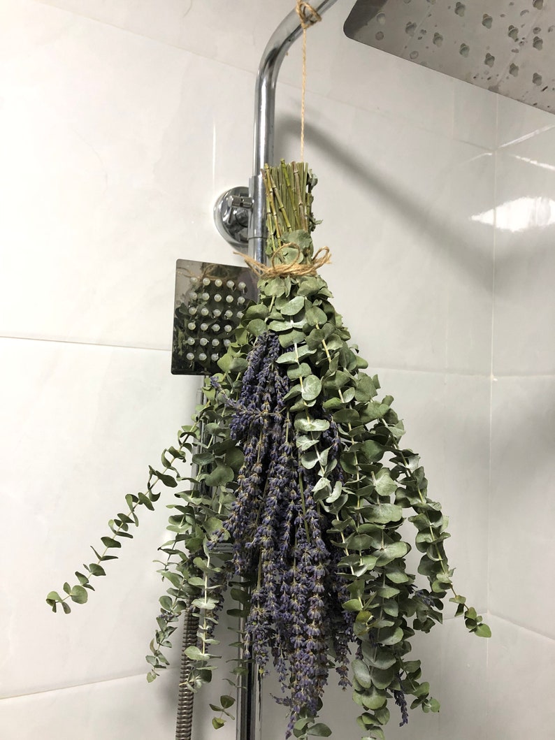 Shower Eucalyptus Bundle with Lavender Aromatherapy Shower Etsy