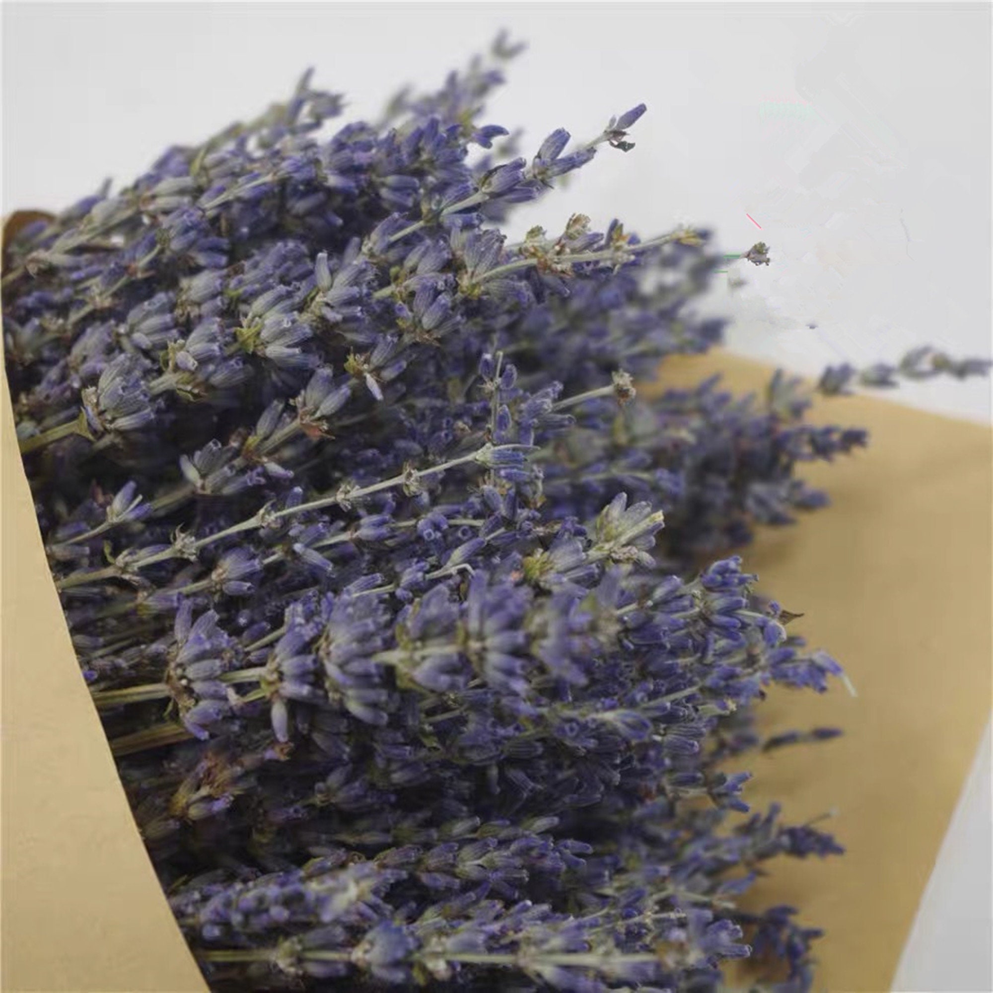 Lavender Bunch, Dried Lavender Bundle, Dry Flower Bunch, Over 300