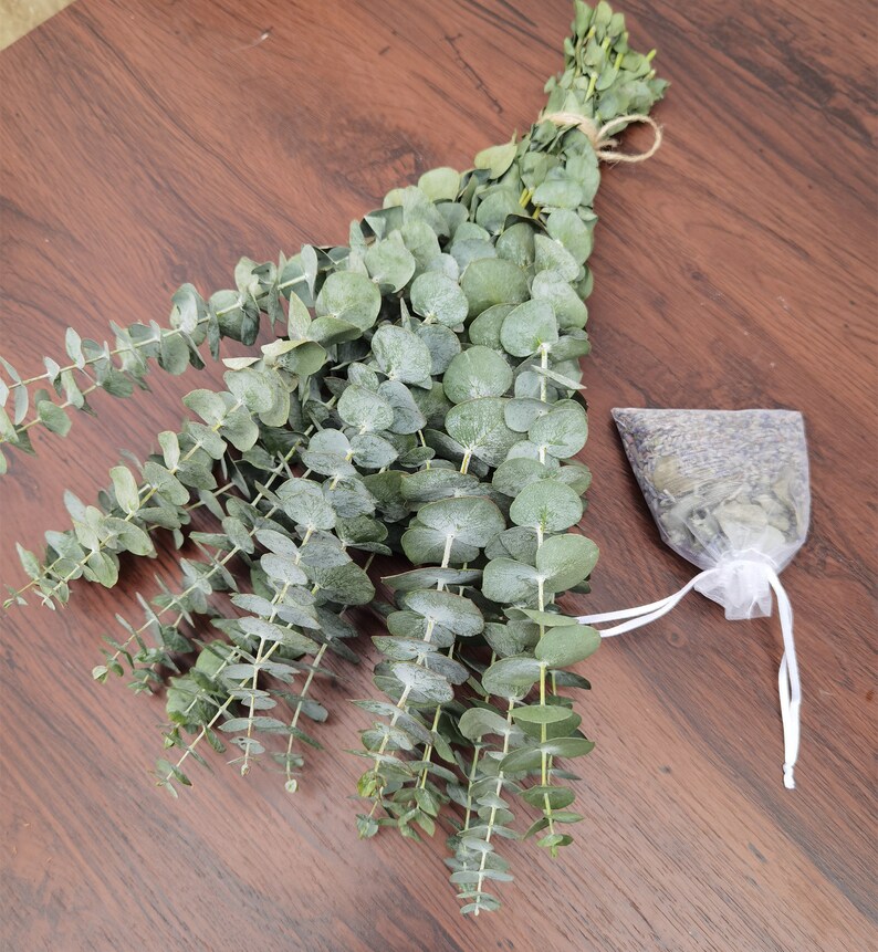 Shower Eucalyptus Bundle With Lavender Aromatherapy Shower Etsy UK