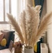 3-10 Pampas Grass , Super Fluffy, Gorgeous Steppe Ornament Boho Wedding Floral Arrangement, Scene Arrangement 