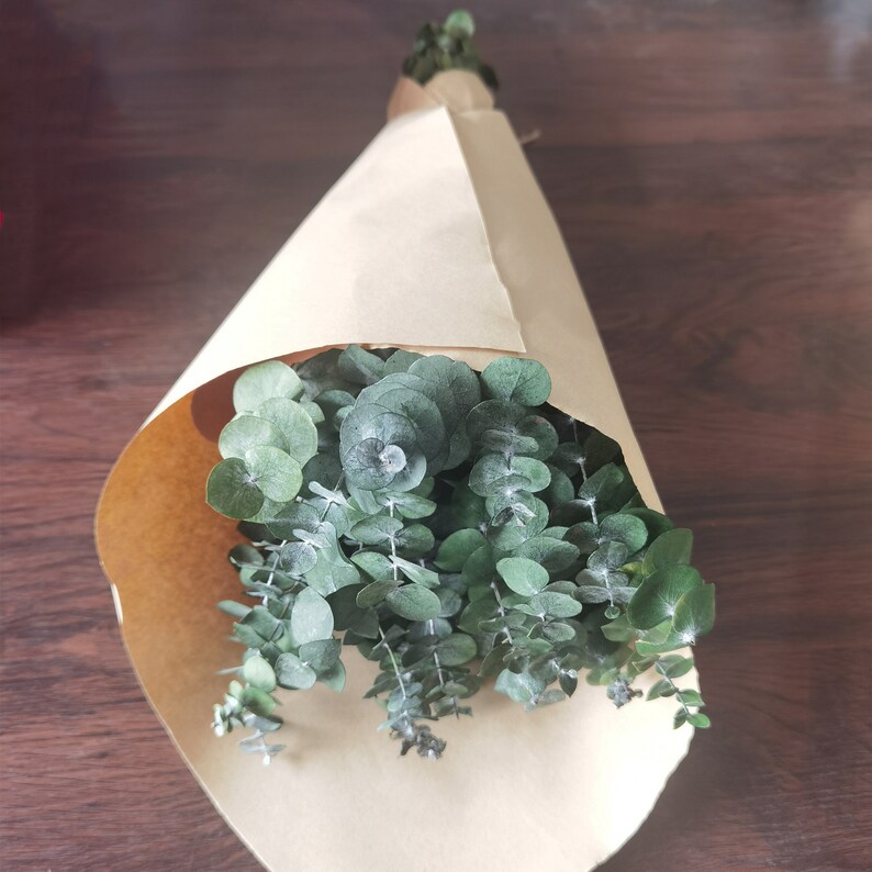 Shower Eucalyptus Bundle With Lavender Aromatherapy Shower Etsy