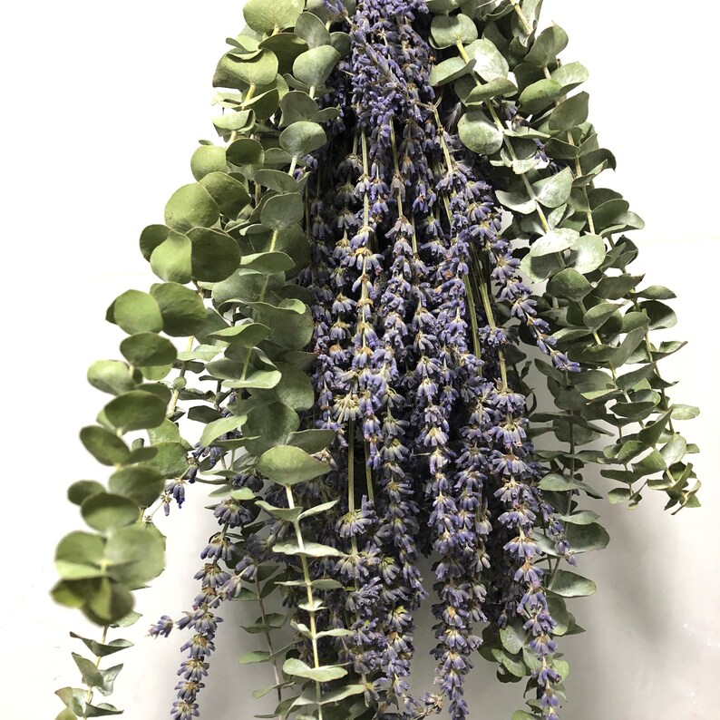 Shower Eucalyptus Bundle With Lavender Aromatherapy Shower Etsy