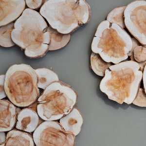 Può includere: Disposizione di fette di legno con motivi di venature naturali. Le fette sono marrone chiaro con bordi più chiari, disposte in gruppi circolari su uno sfondo grigio. Adatte come sottobicchieri o decorazioni murali.