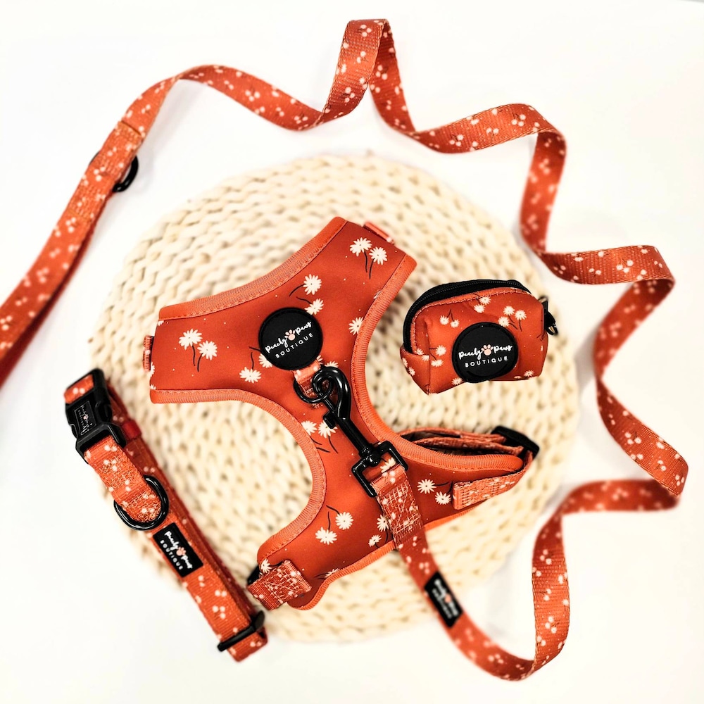 Cinnamon spice dog harness