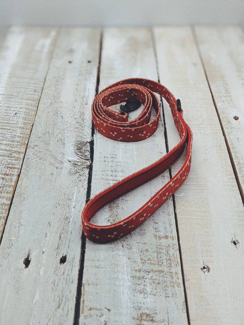 Dog Lead Orange Dog Lead Dog Gift Padded Dog Lead Rust Dog Lead Cinnamon Spice Dog Lead Matching Dog Lead Matching Dog Accessories
