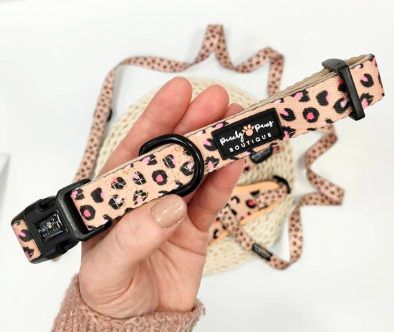 Luxe hotsell dog accessories