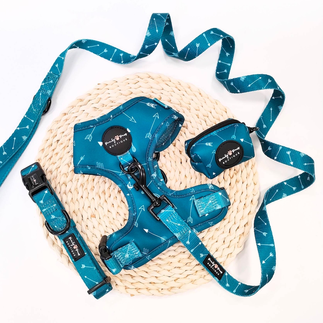 Tealin Cute Dog Harness, Dog Harness, Teal Adjustable Dog Harness