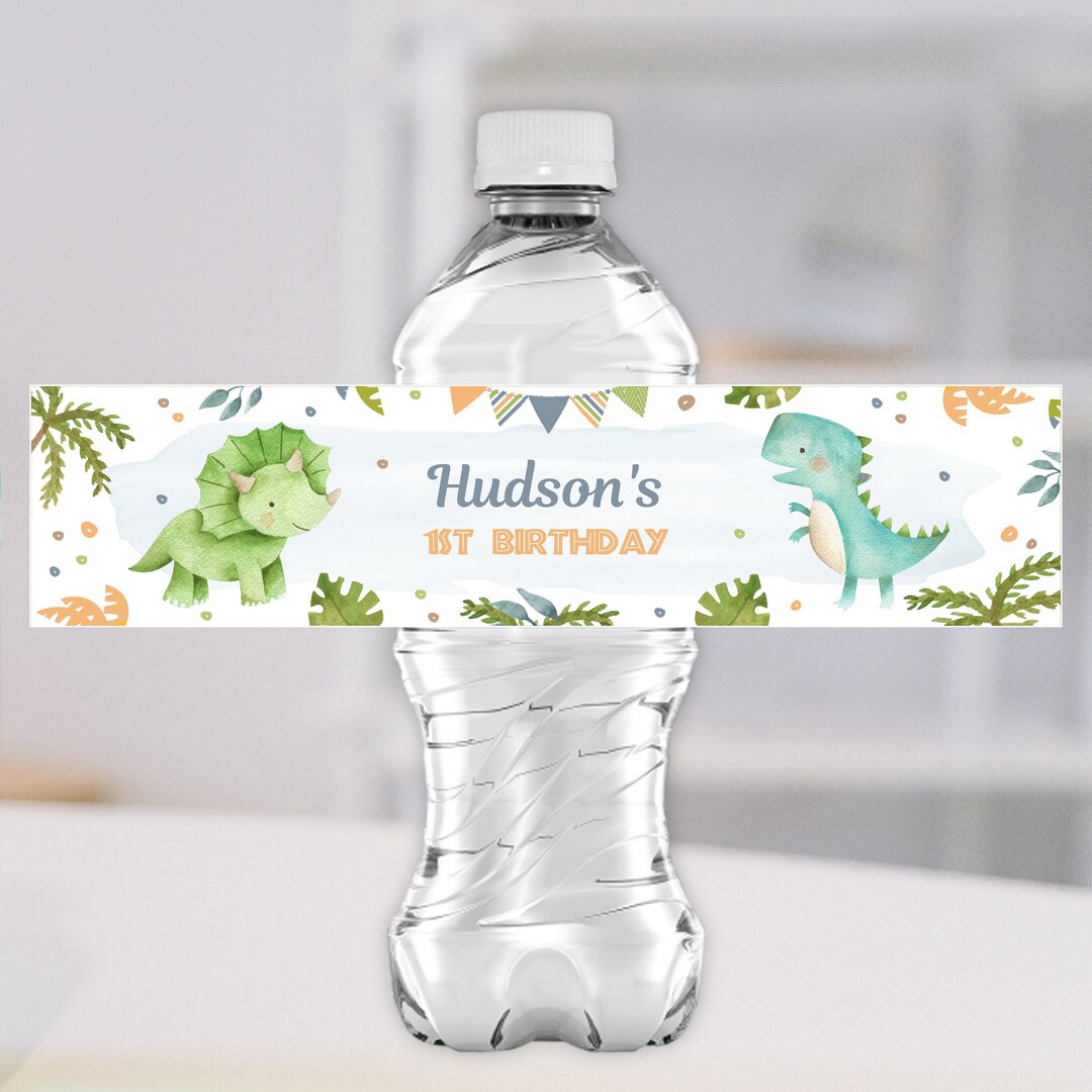 Dinosaur Water Bottle Labels, EDITABLE Dinosaur Birthday Bottle Label ...
