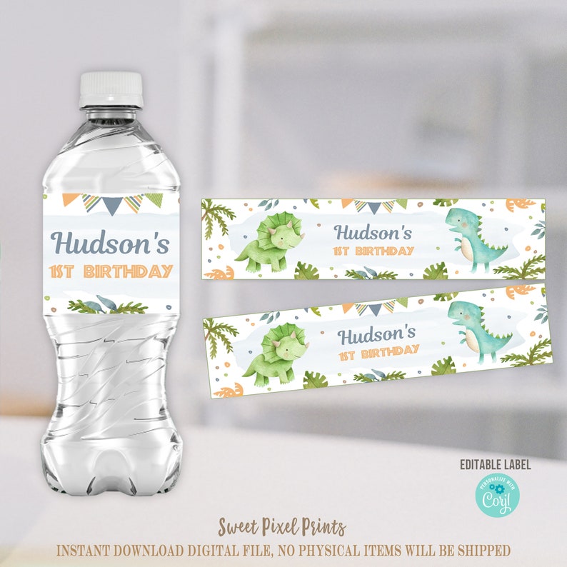 Dinosaur Water Bottle Labels EDITABLE Dinosaur Birthday Etsy