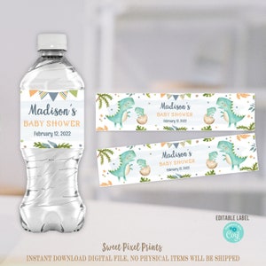 Dinosaur Water Bottle Labels, EDITABLE Dinosaur Baby Shower Bottle ...