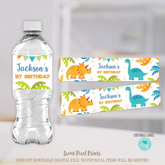 Dinosaur Water Bottle Labels EDITABLE Dinosaur Birthday - Etsy
