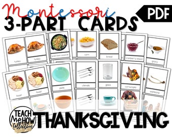 THANKSGIVING, Harvest Feast, Fall, Autumn, Montessori Style 3 Part Cards, Photo Flashcards, Vocabulary