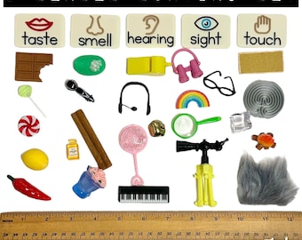Five Senses Object Set, Montessori Sorting Activity, 25 Miniatures, Preschool Science, Hands-On Learning, Homeschool, Speech Therapy