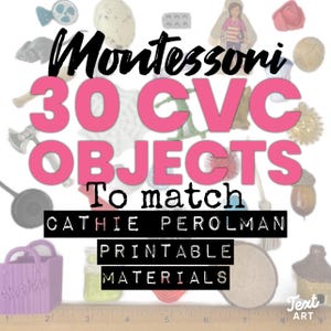 Montessori CVC Language Object Set, Ideal for Cathie Perolman Early Literacy Materials, 30 CVC Miniatures, Montessori Pink Series