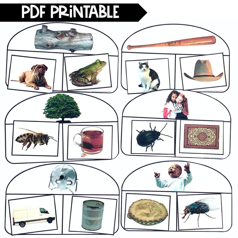 PRINTABLE Rhyming Match Mats &amp; Picture Cards Set 1 DIGITAL - Etsy