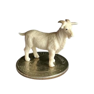 May include: A small, off-white miniature goat figurine standing on top of a silver United States quarter coin. The goat has textured fur, small horns, and a beard, and is positioned in profile facing toward the right side of the frame.