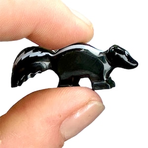 May include: A small, glossy black skunk figurine with a white stripe down its back. The skunk is carved with smooth lines and is held between two fingers, showcasing its compact size and detailed craftsmanship.