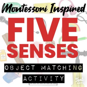 Five Senses Sorting Activity, 5 Senses Miniature Object Set, Hands-On Real Objects, Montessori Inspired, Preschool Activity