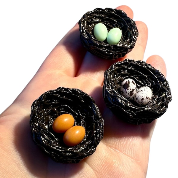 NEST Miniature with 2 Eggs, Tiny Resin Bird Nest for Montessori Language Objects & Alphabet Boxes, Letter N, Homeschool, Kindergarten