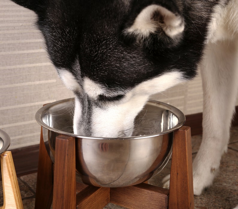 Elevated Dog Feeder Raised Dog Bowls Personalised Stand Bowls Etsy