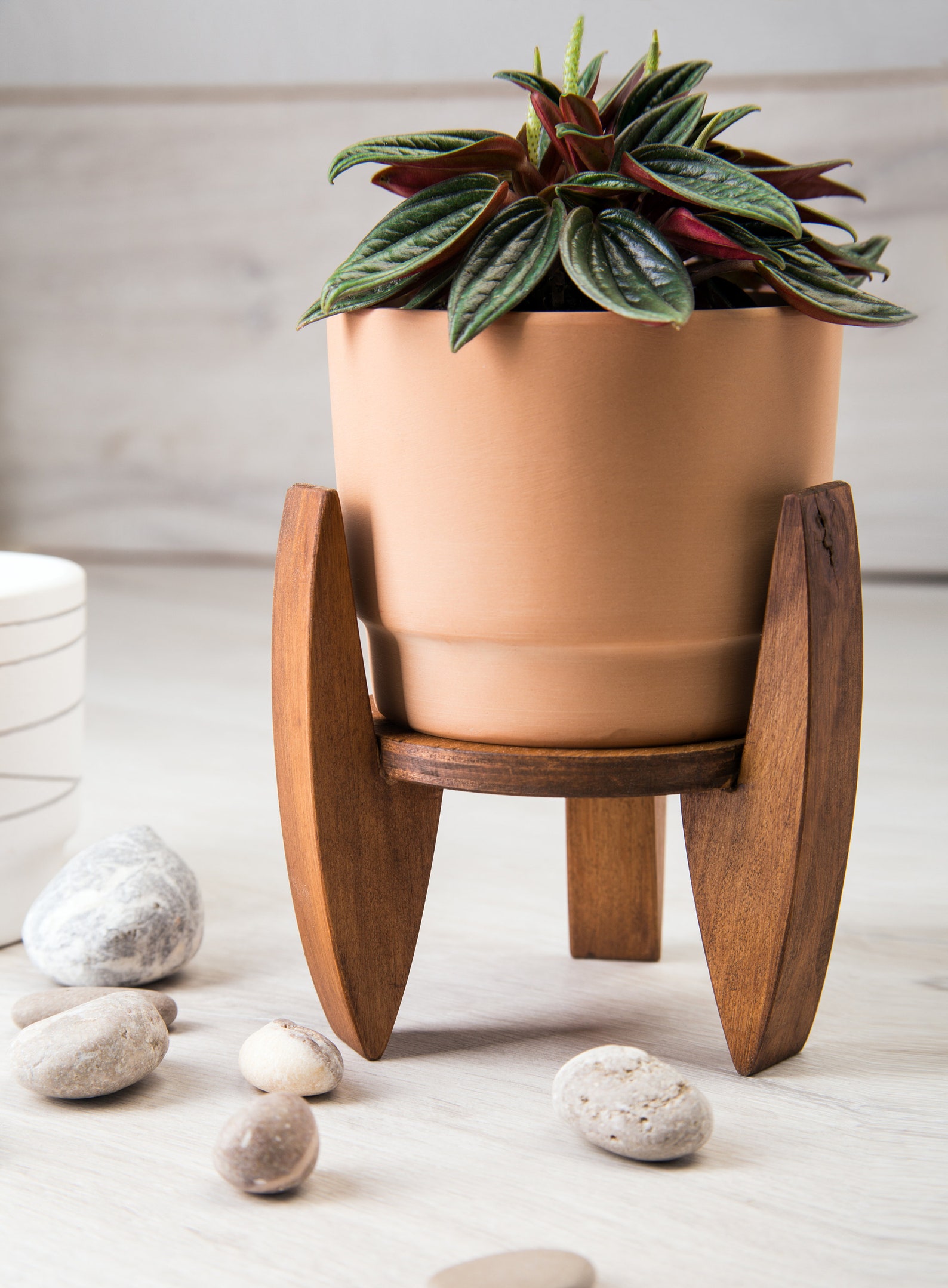 Wooden Pot Plant Stand