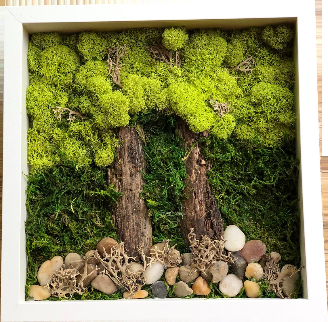 Moss Wall Art DIY Kit Etsy