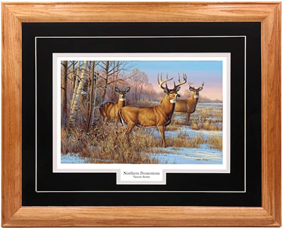 Whitetail Deer Print in Light Oak Frame: Cynthie Fisher Wildlife