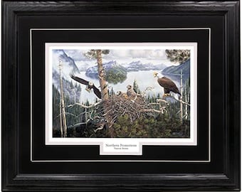 Eagle Nest Wall Art Hunting Decoration Hardwood Frame 17x21 Wildlife Print Painting 5 Mat Colors 4 Custom Moldings Black Frame