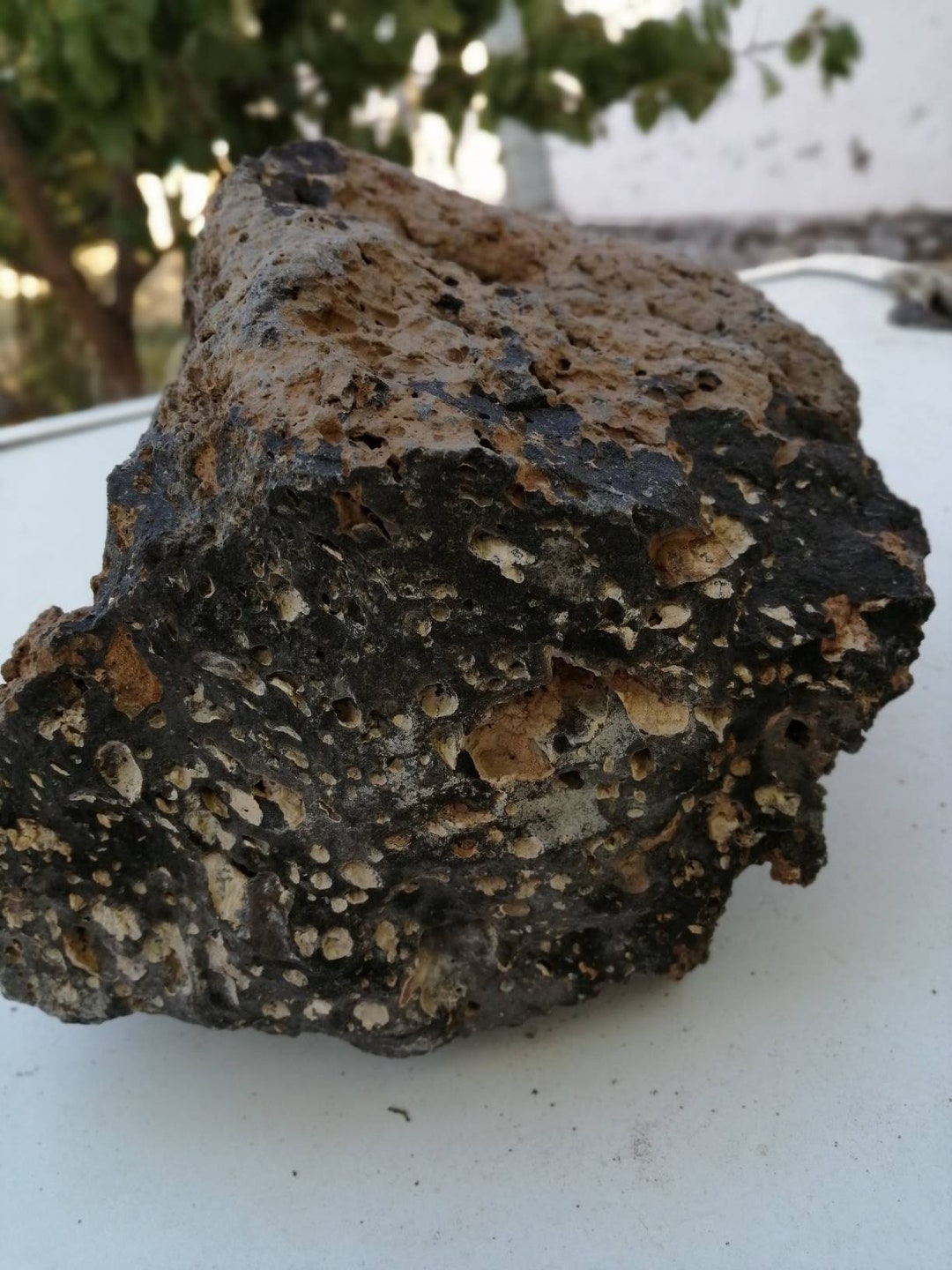 Ash Slag Rocks Volcanic Slag Volcanic Ash Volcanic Basaltic Lava Rock - Etsy Australia