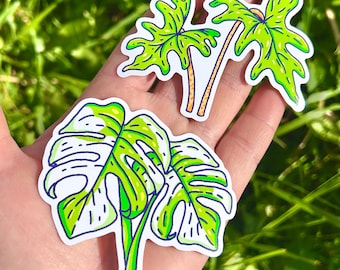 Alocasia Jacklyn Monstera Thai Constellation Stickers // Plant Collector Nature Forest