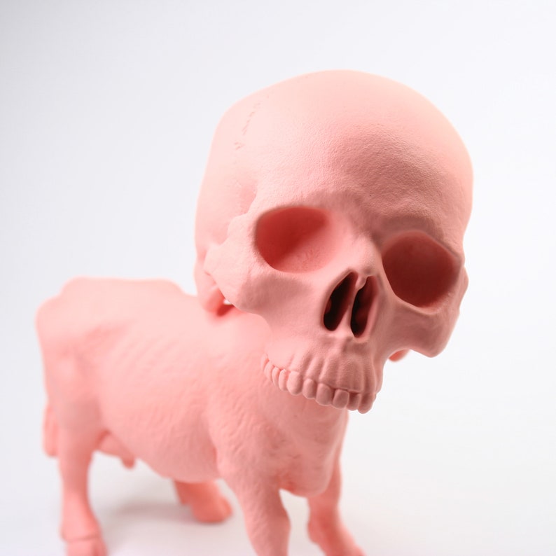 Skull Cow image 6
