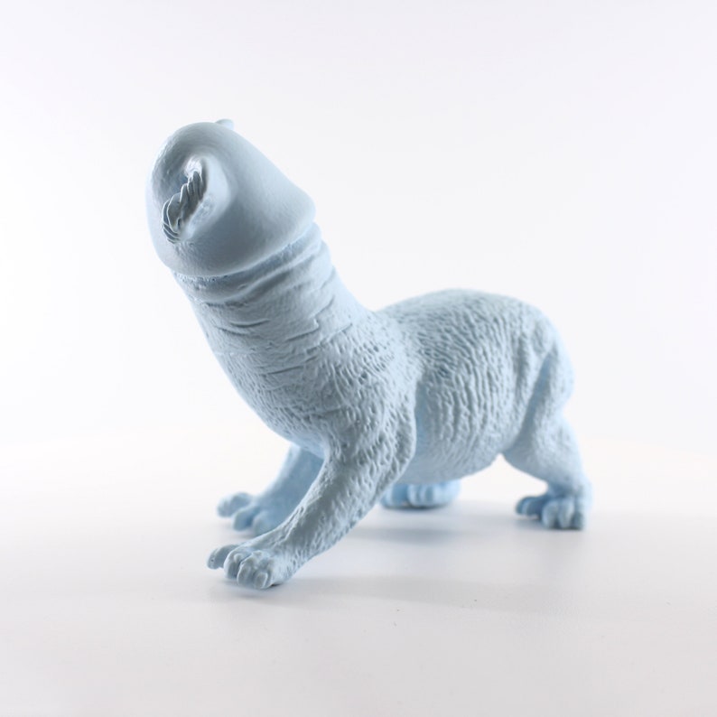 Koala Penis