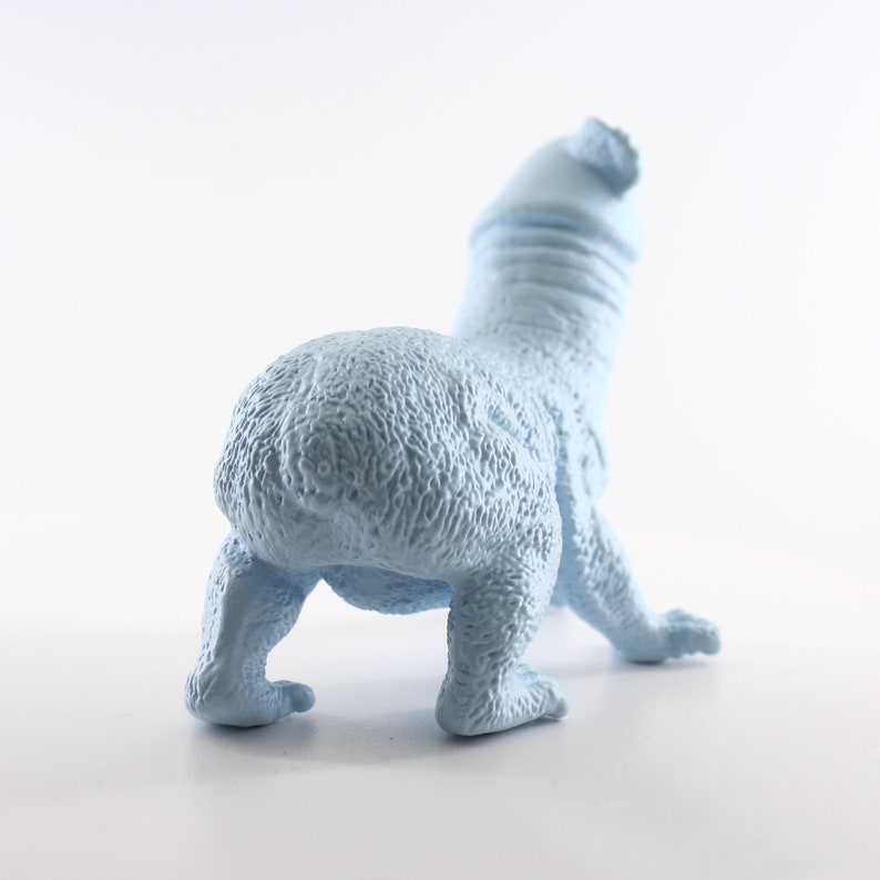 Koala Penis