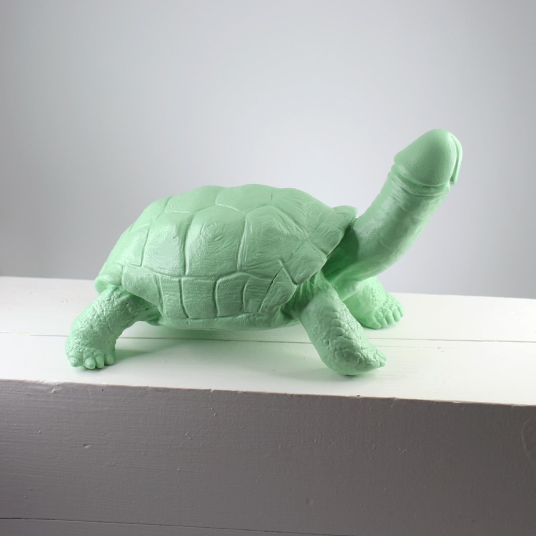 Менің жыныс мүшесімнен жағымсыз иіс шыға бастады.