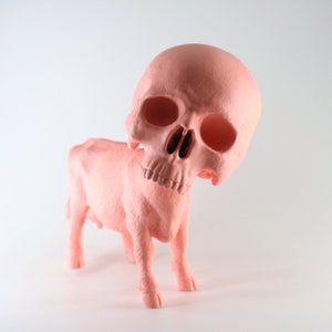 Skull Cow image 7