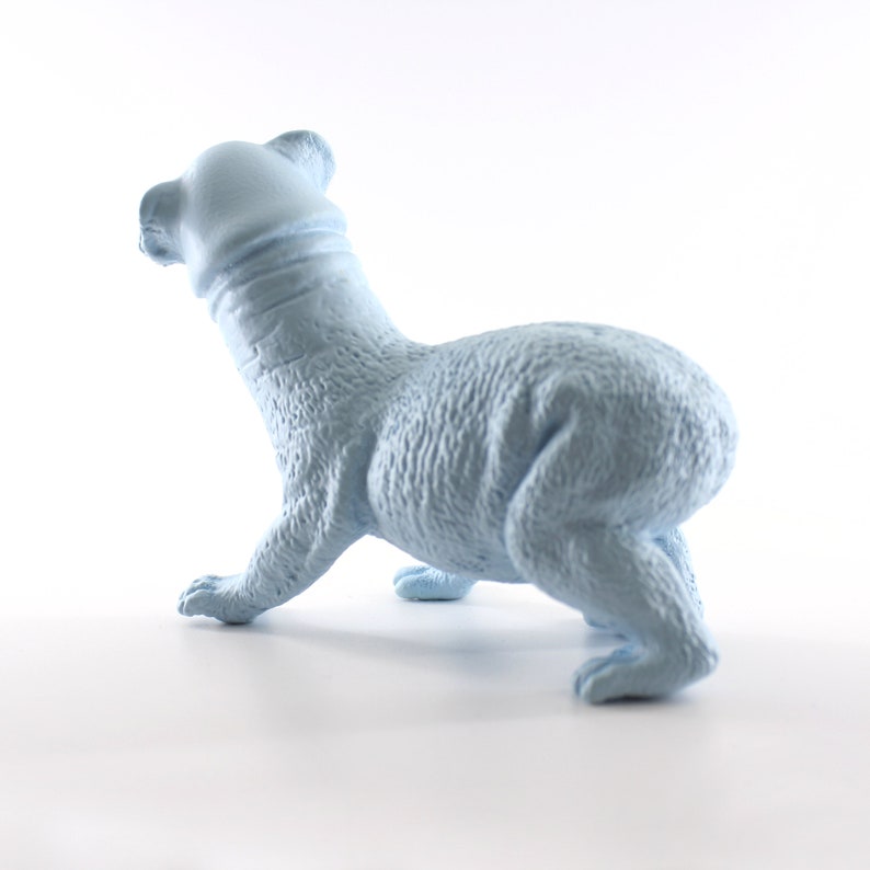 Koala Penis